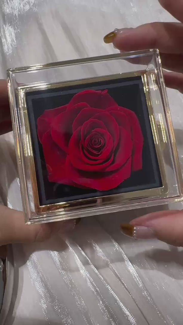 preserved rose & jewelry box